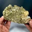 specimen video