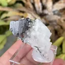 Brookite with Quartz - image 5