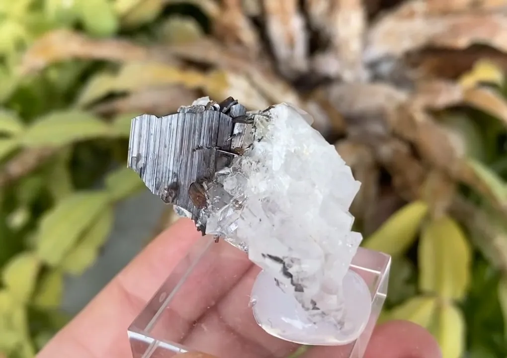 Brookite with Quartz - image 5