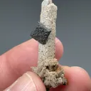 Brookite with Quartz - image 2