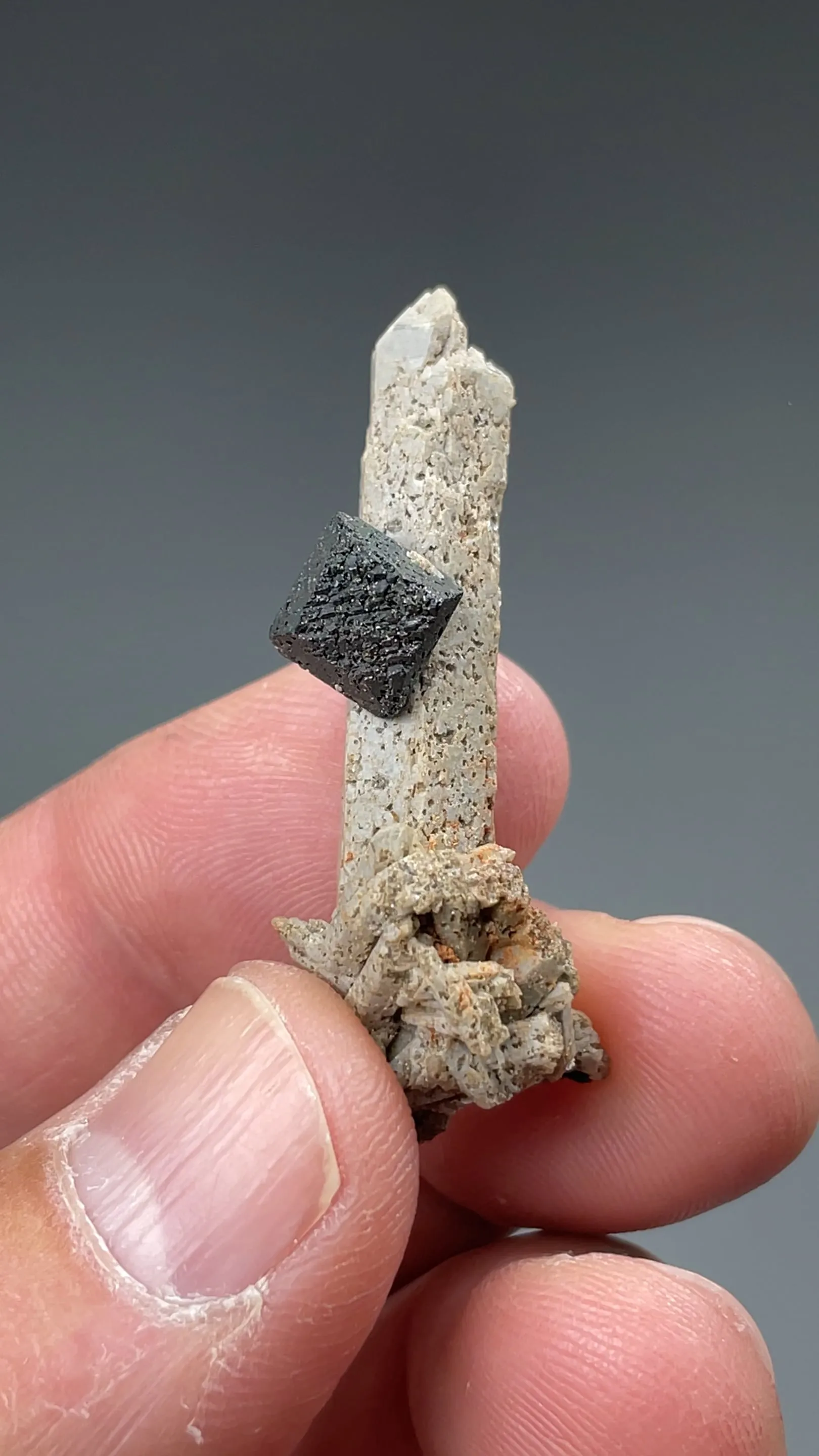 Brookite with Quartz - image 2