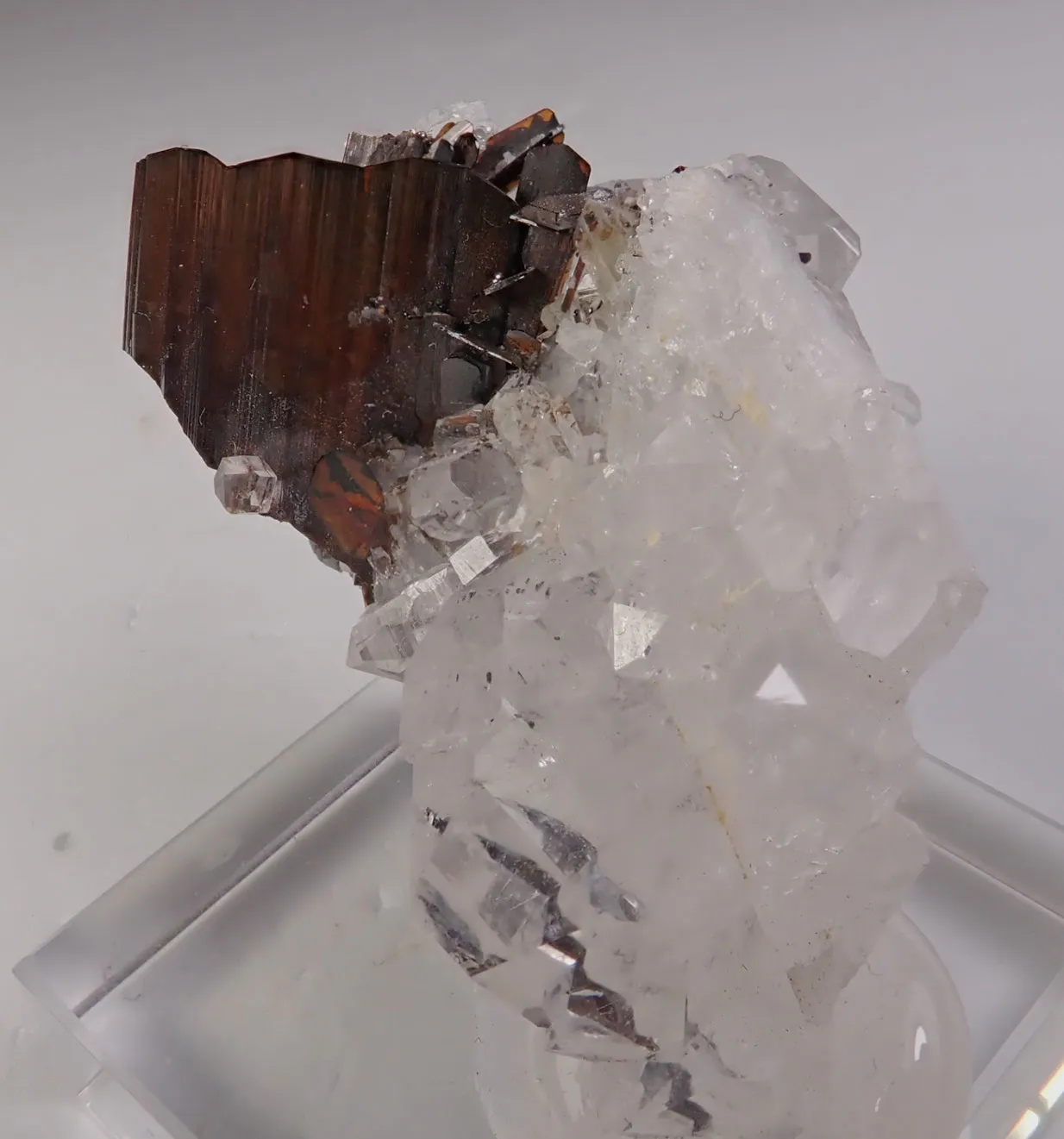 Brookite with Quartz - image 4