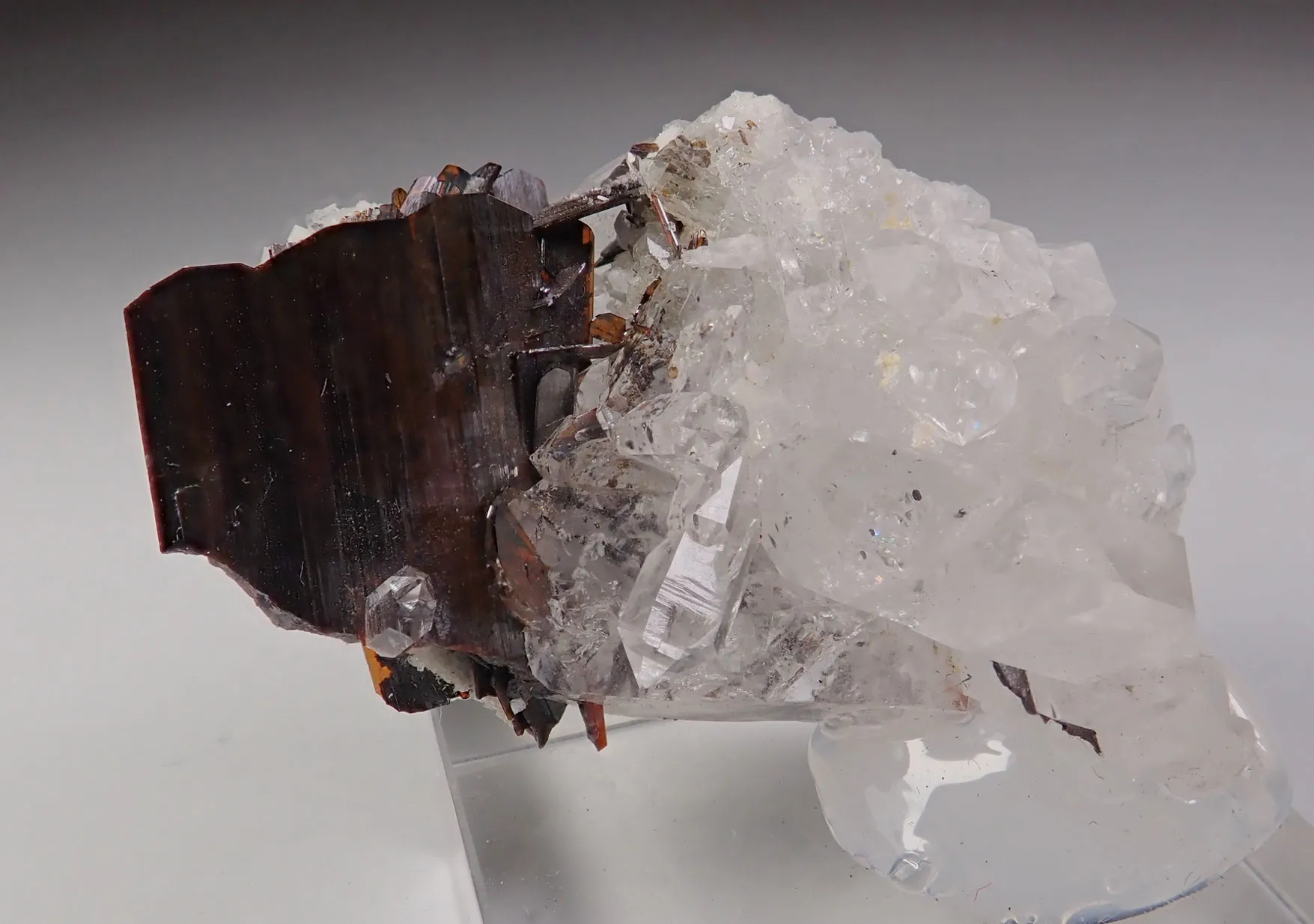 Brookite with Quartz - image 2