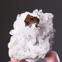 Brookite with Quartz - image 2
