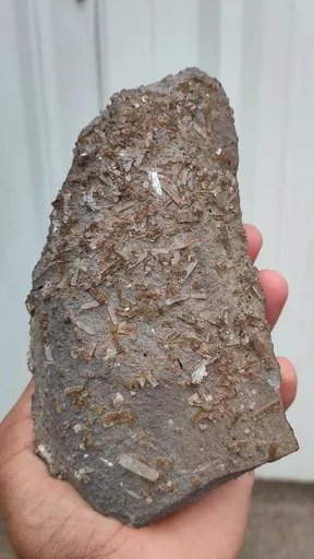 specimen video