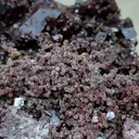 Brown Apophyllite with Chalcedony - image 5