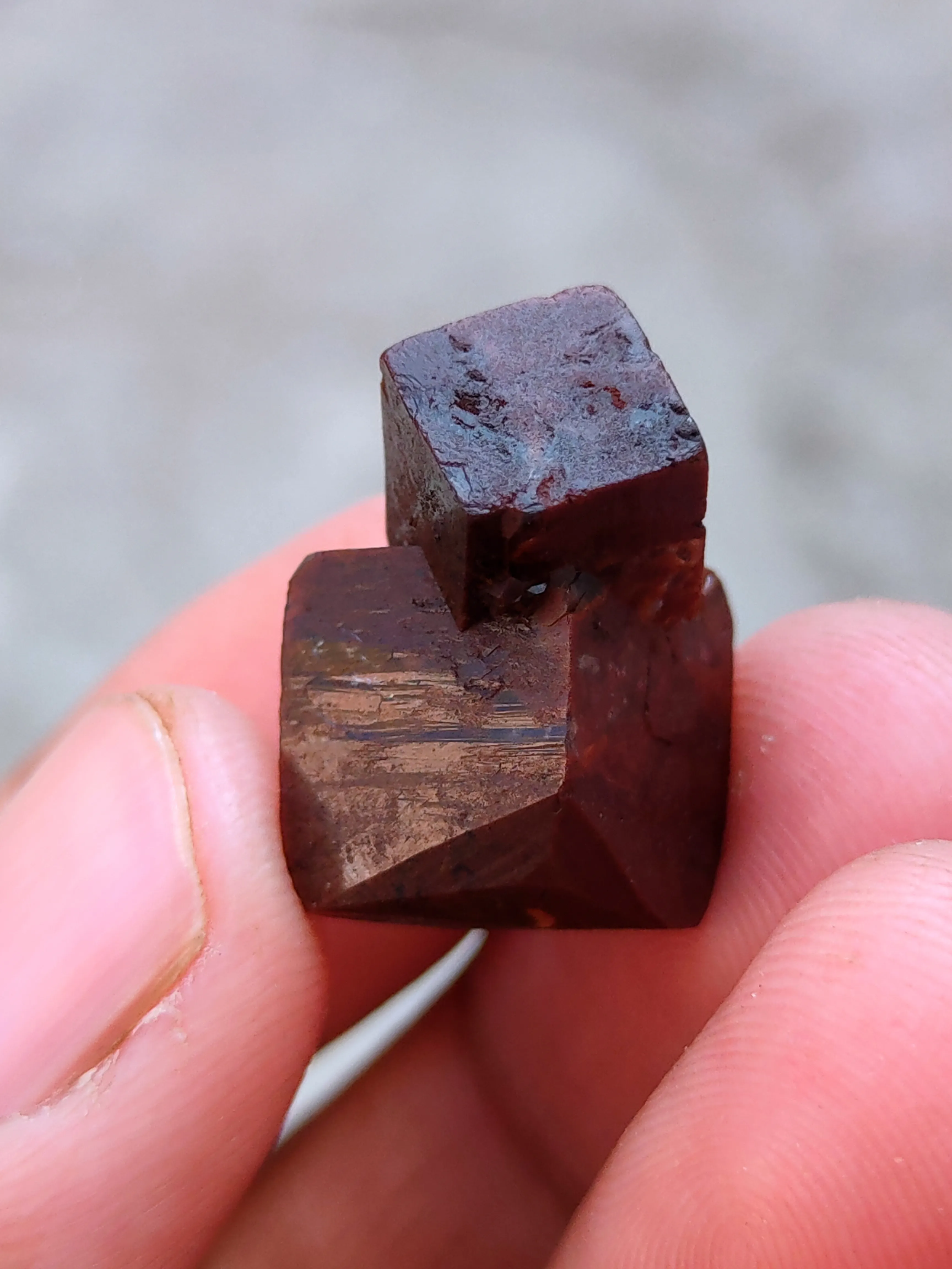 Brown Cubic Apophyllite - image 5
