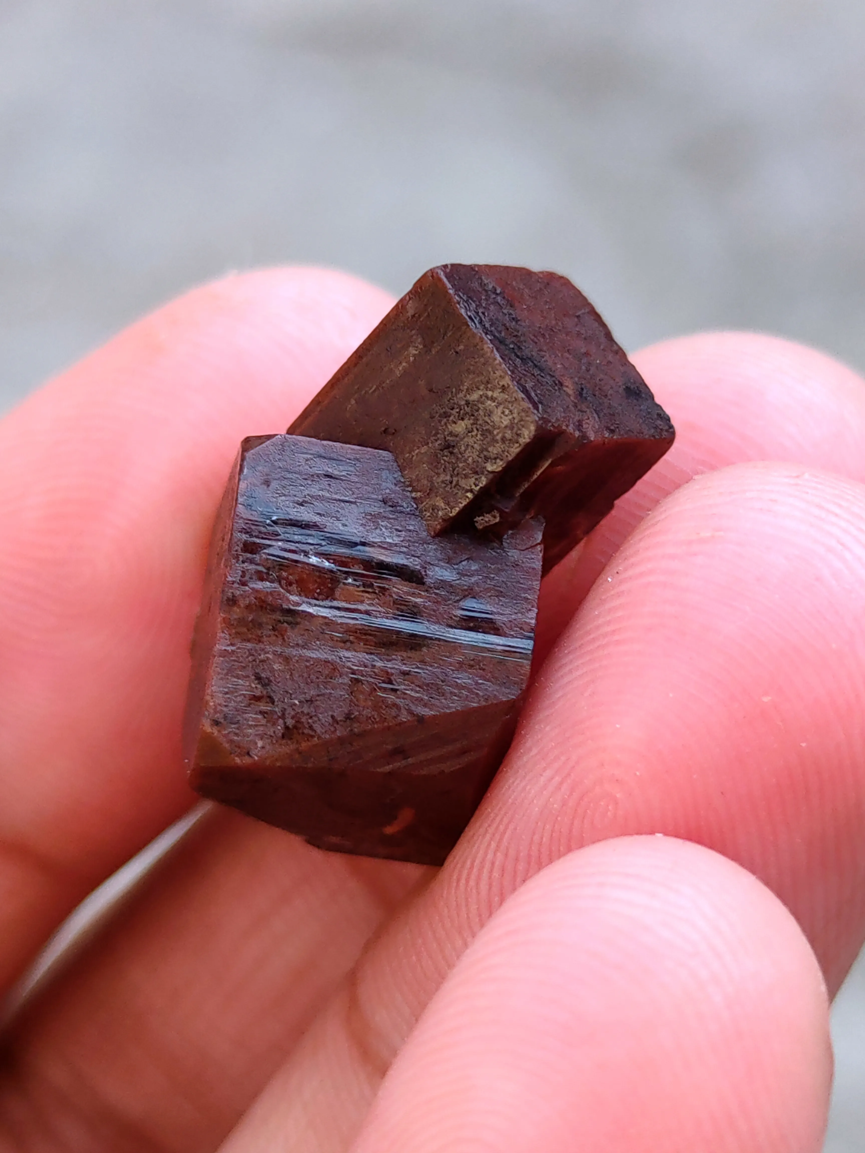 Brown Cubic Apophyllite - image 6