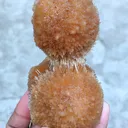 Brown Thomsonite ball. - image 2