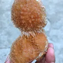 Brown Thomsonite ball. - image 6