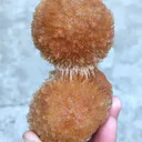 Brown Thomsonite ball. - image 7