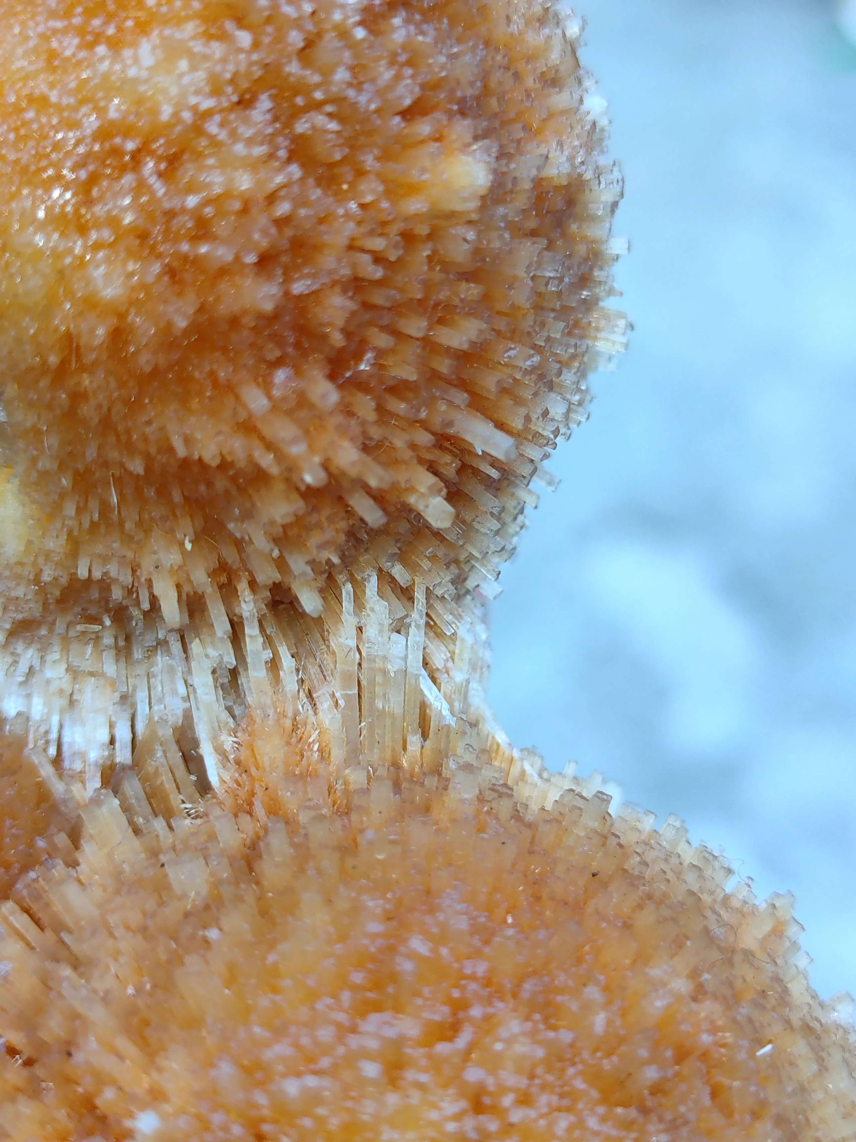 Brown Thomsonite ball. - image 5