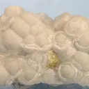 Brucite - image 1