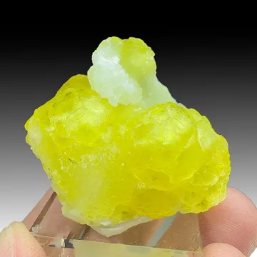 Brucite