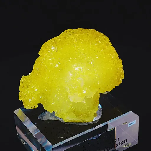 specimen video