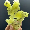 Brucite from Pakistan - image 5