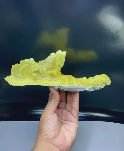 specimen video