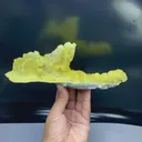 specimen video