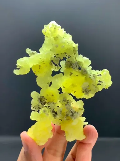 specimen video
