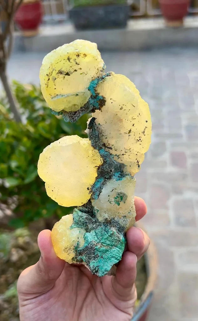 Brucite from Pakistan - image 6