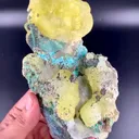 specimen video