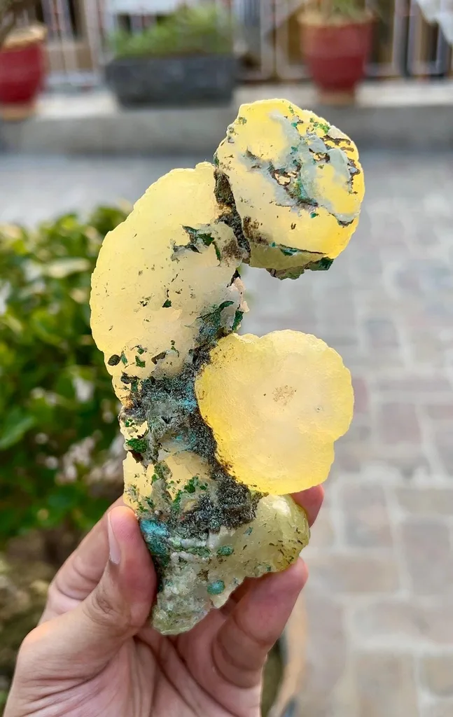 Brucite