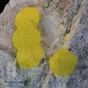 Brucite on Chromite - image 4