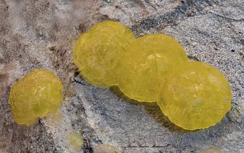 Brucite on Chromite - image 3