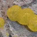 Brucite on Chromite - image 3