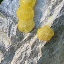 specimen video