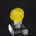 specimen video