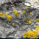Brucite on Matrix from Pakistan - image 4