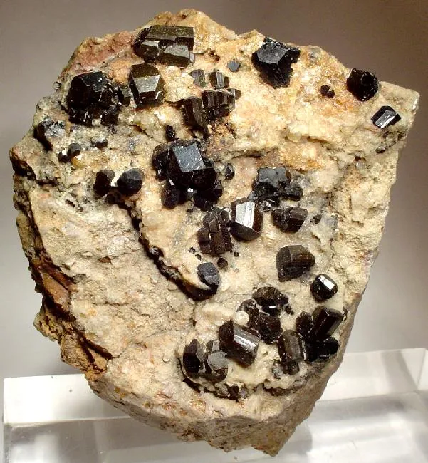 Buergerite image