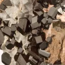 Buergerite - image 4