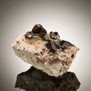 Buergerite - image 2