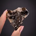 Buergerite Tourmaline - image 1