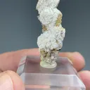 Bultfonteinite with Hydroxylapophyllite, Calcite - image 2