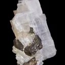 Bustamite - image 6