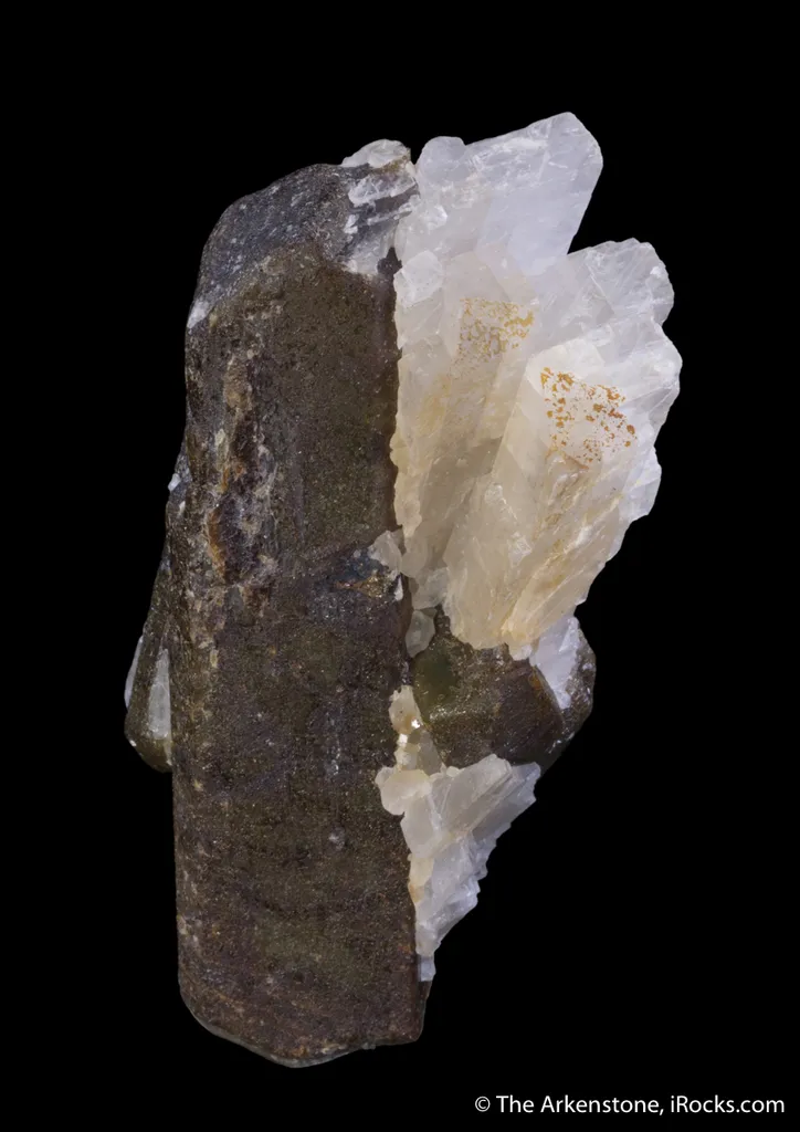 Bustamite - image 4
