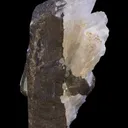 Bustamite - image 4