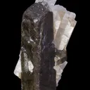 Bustamite - image 3