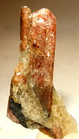 Bustamite image
