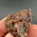 Bustamite - image 1
