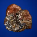Bustamite - image 3