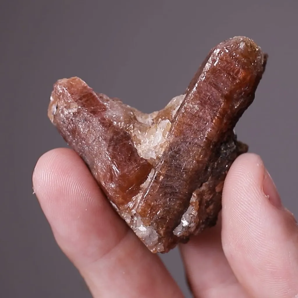 Bustamite - image 2