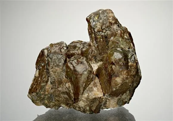 Bustamite - image 1