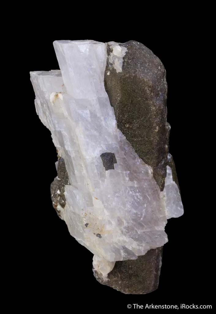 Bustamite - image 2