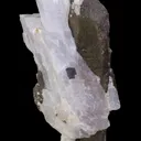 Bustamite - image 2
