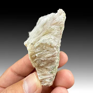 Bustamite