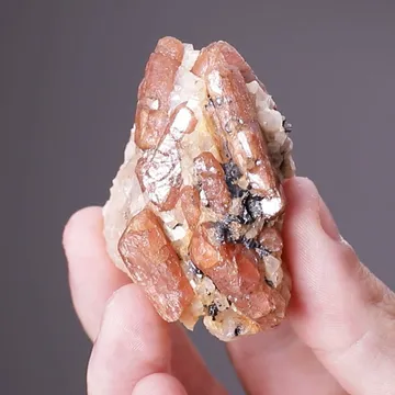 Bustamite